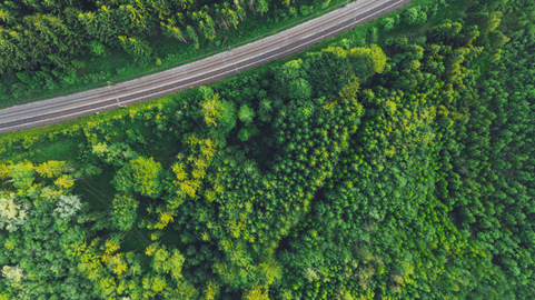 DSV Sustainability Report 2021