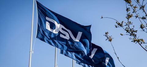 DSV