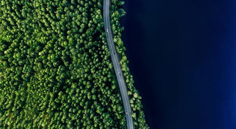 Wald mit einer Straße und See von oben