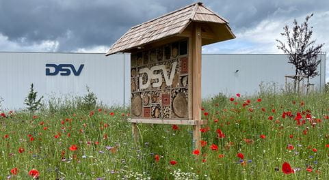Insektenhotel auf Wiese
