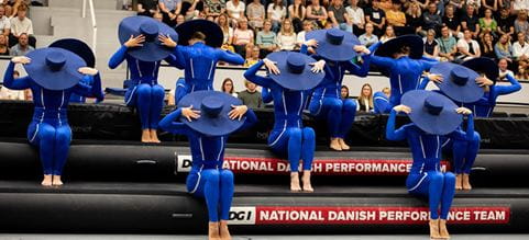 dsv sponsor verdensholdet