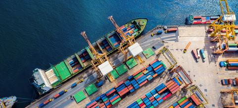 dsv webinar december 2021