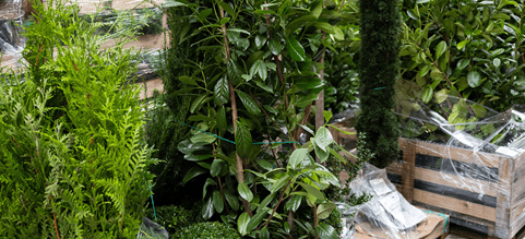 Planter