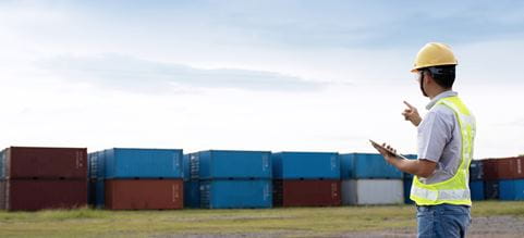 douane autoliquidation dsv
