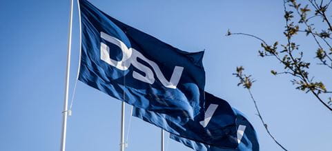 DSV si fa in tre per te