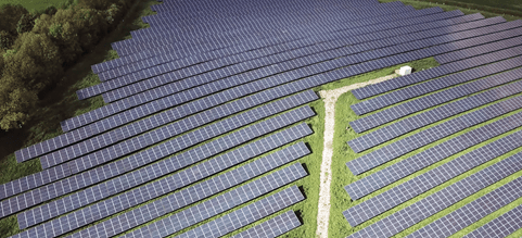 International Sustainability Training Program