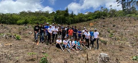 Equipo de DSV Costa Rica en proyecto de plantación de árboles en la Ciudad de los Niños