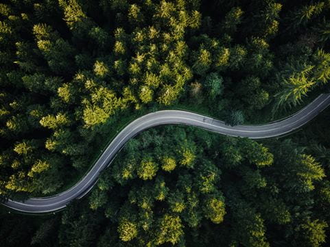 DSV grüne Logistik - Straße durch grünen Wald
