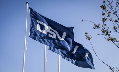 DSV Fahnen