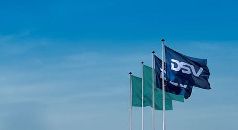 DSV flags