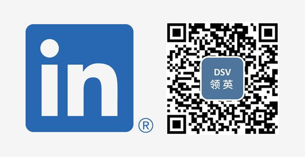 DSV LinkedIn