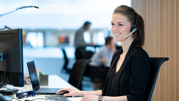 dsv xpress services