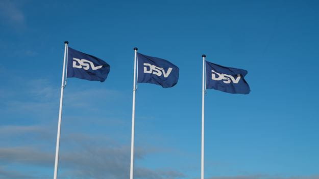 DSV blue flags