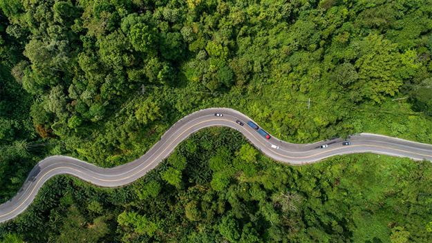 Road through a green forest