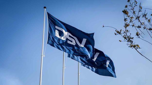 DSV Logo