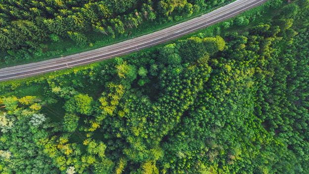 a road in a green environment