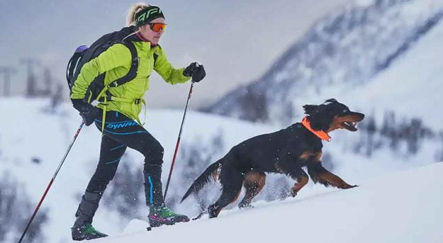 Woman and dog hiking up a snowy mountain