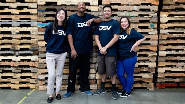 Careers in DSV