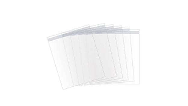 Portafolio de plástico transparente DSV XPress