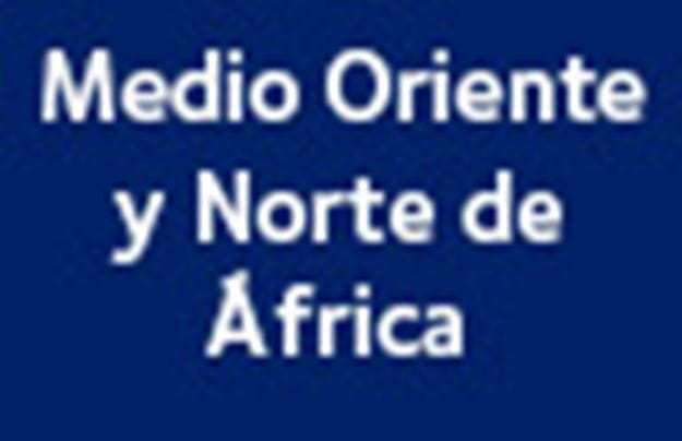 Rectángulo azul DSV, con el texto: Medio Oriente y Norte de África