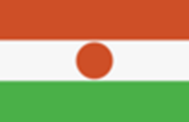 Vector de bandera de Níger