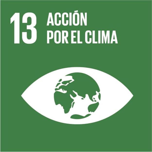 Objetivo de desarrollo sostenible #13: Acción por el clima