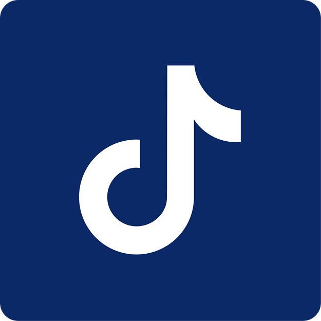 DSV TikTok