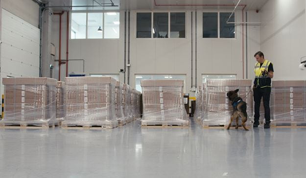 dsv transport en logistiek hond snuffelt aan pallet