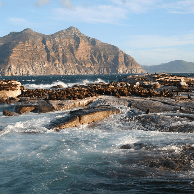 Rocky coastline with waves crashing against the shore