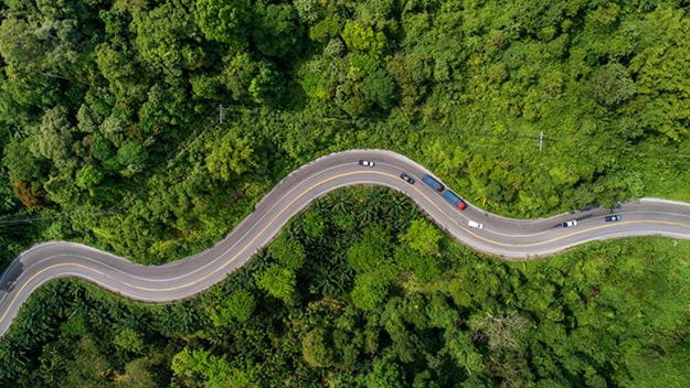 vei som svinger seg gjennom skog